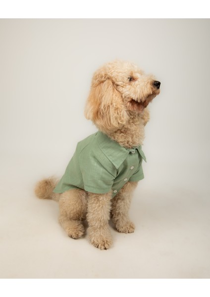Wild - Küçük Orta Irk Kedi, Köpek Kıyafeti