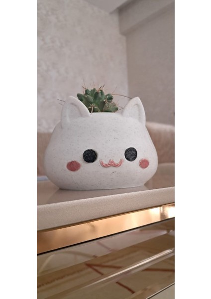 ALMİLA3D Kedi Figürlü Sukulent Saksısı Mermer Desenli