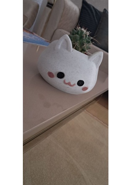 ALMİLA3D Kedi Figürlü Sukulent Saksısı Mermer Desenli