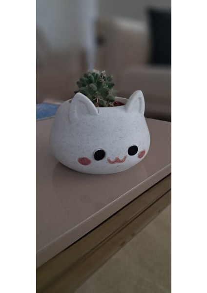 ALMİLA3D Kedi Figürlü Sukulent Saksısı Mermer Desenli