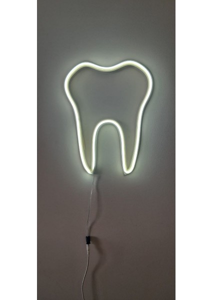 ALMİLA3D Diş Hekimlerine Özel Beyaz LED Işıklı Diş Figürü 30X26
