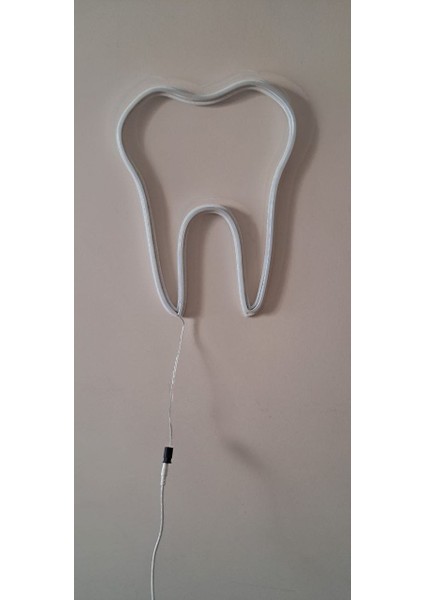ALMİLA3D Diş Hekimlerine Özel Beyaz LED Işıklı Diş Figürü 30X26 fiyatları
