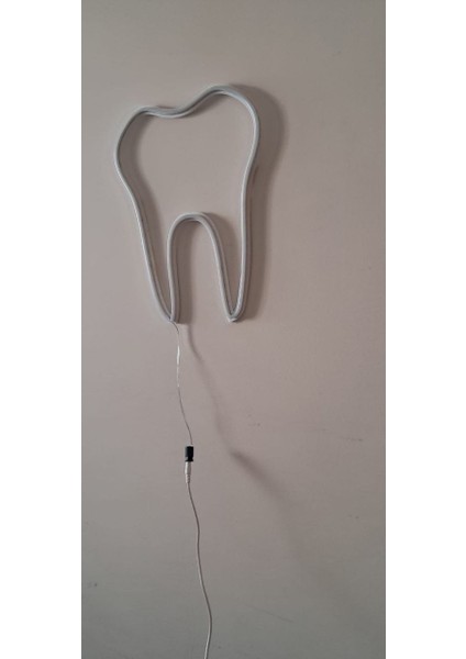 ALMİLA3D Diş Hekimlerine Özel Beyaz LED Işıklı Diş Figürü 30X26 fırsatları