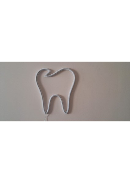 ALMİLA3D Diş Hekimlerine Özel Beyaz LED Işıklı Diş Figürü 30X26