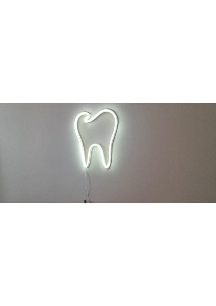 ALMİLA3D Diş Hekimlerine Özel Beyaz LED Işıklı Diş Figürü 30X26 fiyatları