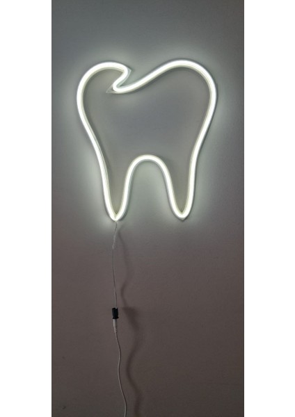 ALMİLA3D Diş Hekimlerine Özel Beyaz LED Işıklı Diş Figürü 30X26 fırsatları