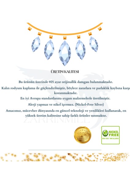 925 Ayar Gümüş Zirkon Taşlı Kalp Küpe ve Kolye Ucu 2'li Set