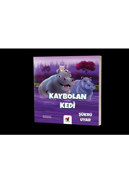 Kaybolan Kedi-Şükrüuyar-Benekli Kediyayınevi