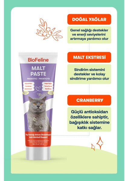 Malt Paste 30 gr modelleri
