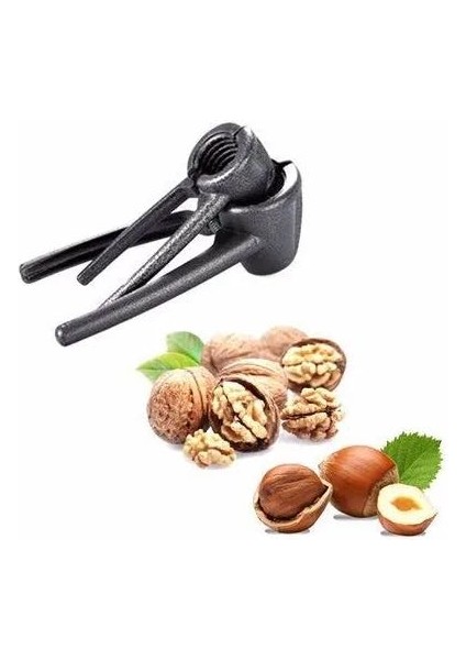 Ceviz Fındık Kıracağı