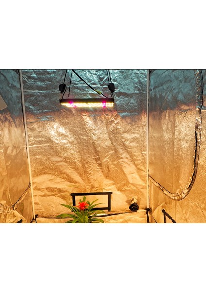 Cannalight 1200W Bitki Yetiştirme Lambası Full Spectrum Bitki Yetiştirme Ledi Grow Lamp Plant Light fırsatları