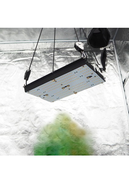 Cannalight 1200W Bitki Yetiştirme Lambası Full Spectrum Bitki Yetiştirme Ledi Grow Lamp Plant Light modelleri