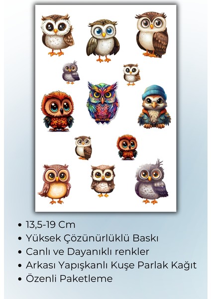 Baykuş Temalı 3 Lü Sticker Seti / Bullet Journal Scrapbook Kolaj Için Uygun fiyatları