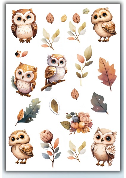 Baykuş Temalı 3 Lü Sticker Seti / Bullet Journal Scrapbook Kolaj Için Uygun indirimleri
