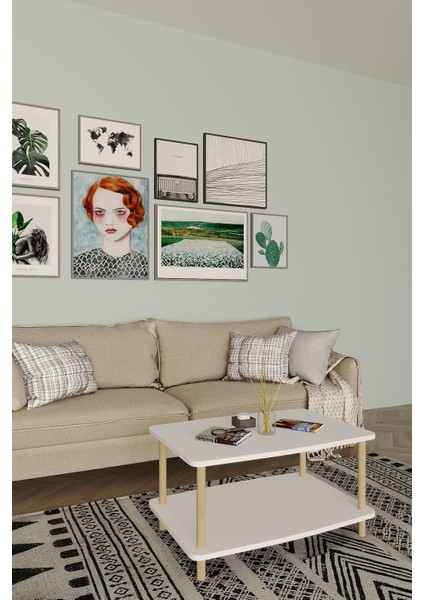 Alt Raflı Dikdörtgen Orta Sehpa – 50X80X43 cm fiyatları