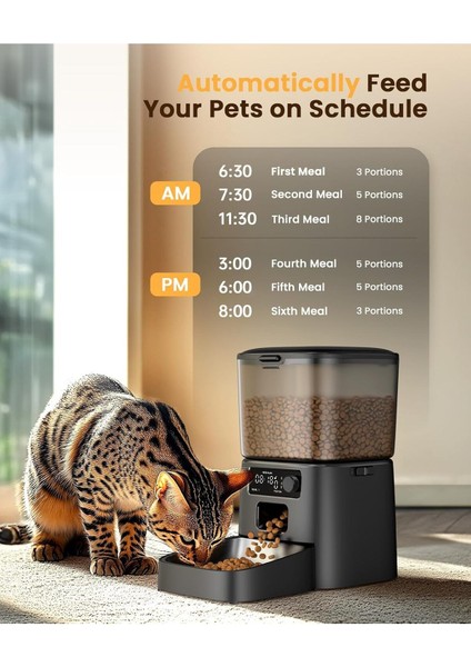 3.5l Otomatik Kedi Besleyici, Programlanabilir Zamanlayıcı ve Porsiyon Kontrolü