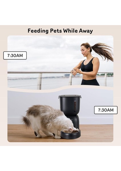 Otomatik Kedi Maması Dispenseri ve Kedi Su Sebili Fw1, Zaman Kontrollü ve Sesli Kayıt Özelliği