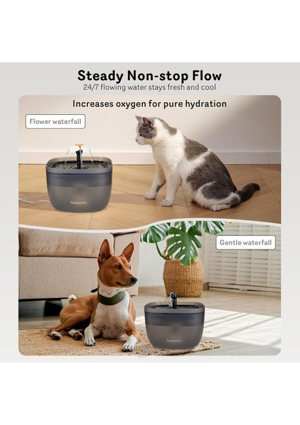 Otomatik Kedi Maması Dispenseri ve Kedi Su Sebili Fw1, Zaman Kontrollü ve Sesli Kayıt Özelliği