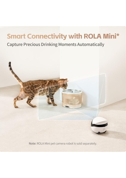 Ebo Rola Kablosuz Kedi Pınarı, Akıllı Uygulama Kontrolü, 2l Ultra Sessiz Kedi Içme Fıskiye modelleri
