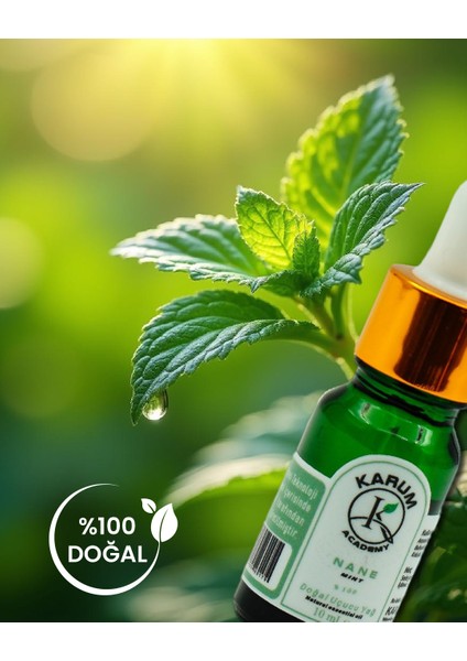 Doğal Cam Damlalıklı Tıbbi Nane Uçucu Yağ 10ml fırsatları