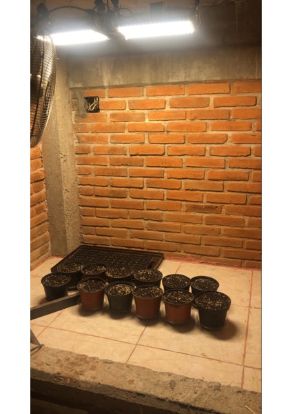Samsung 283B Bitki Yetiştirme Lambası Full Spectrum Grow Lamp Bitki Yetiştirme Ledi