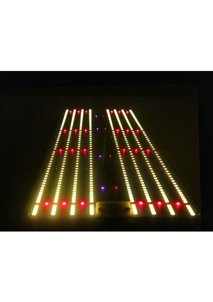 Evo Quantum Board CN2500 Bitki Yetiştirme Lambası Full Spectrum Bitki Yetiştirme Ledi Grow Light LED fiyatları