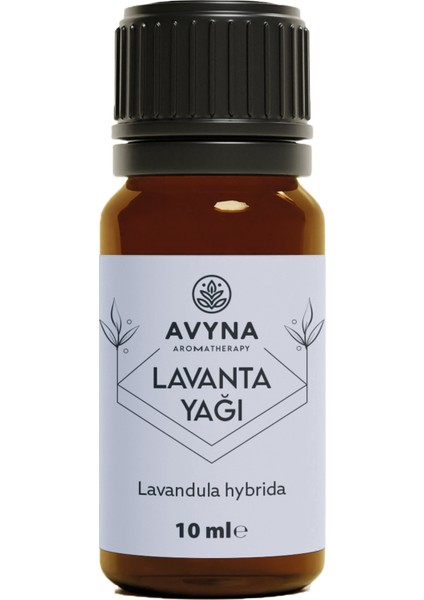 Lavanta Uçucu Yağı 10 ml Saf ve Doğal (Lavender Essential Oil) fırsatları