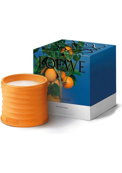 Orange Blossom Küçük Mum – Doğal Narenciye ve Bal Kokusu
