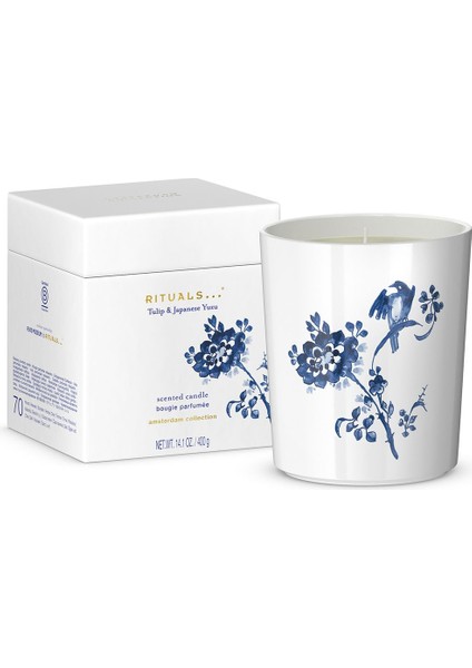 Amsterdam Collection Mum Delfts Mavi Tasarım ve Yuzu Esansı
