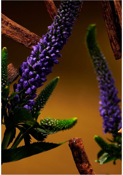 Oudh ve Paçuli Oda Spreyi Doğal ve Zengin Kokulu Oda Parfümü modelleri