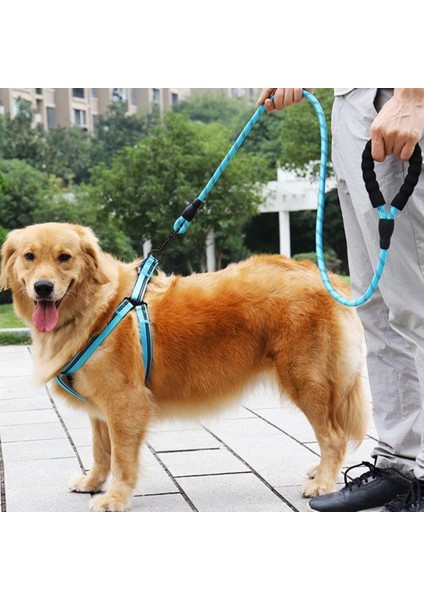 Reflektörlü Fosforlu Köpek Gezdirme Halatı Tasma Kayışı Metal Kancalı 130 cm (4172) fiyatları