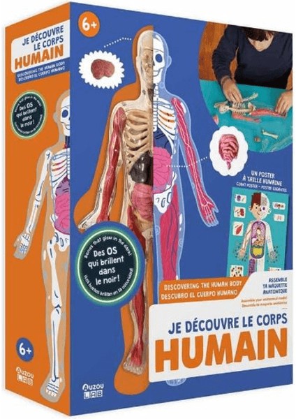 Insan Vücudunu Keşfediyorum Poster -Model ve Kitap