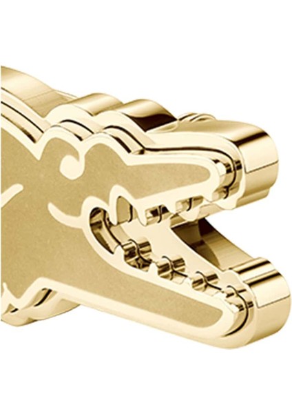 LACJ2040484 Broş fiyatları