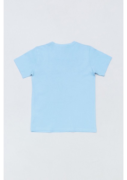 %100 Pamuk Dinozor Baskılı Erkek Çocuk Tişört fiyatları