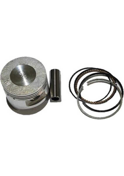 100 Cup Piston Std 50 Mm-13 P Jolt