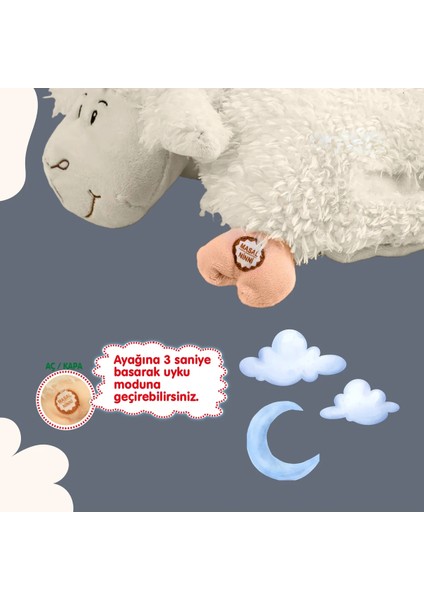 Türkçe Masal Anlatan Yastık Kuzucuk I Eğitici Duyu Gelişim I Görsel ve Işitsel Gelişim modelleri