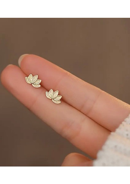 Lotus Küpe fiyatları