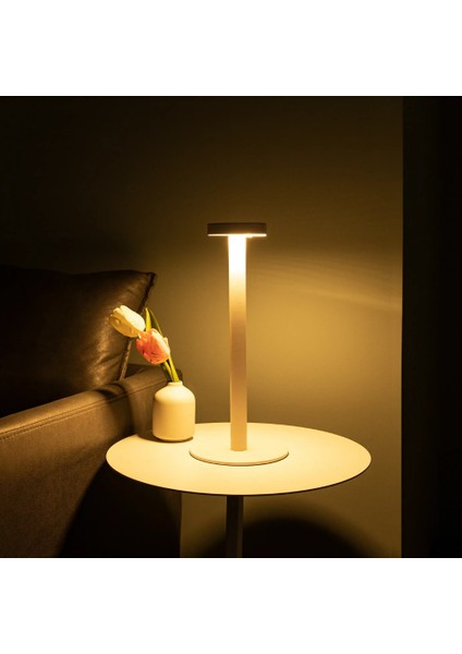 Dokunmatik Şarjlı Dekoratif Halter LED Masa Lambası