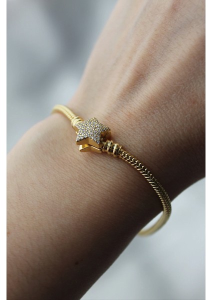 Vıp Çelik Charm Bileklik Yıldız Model fiyatları