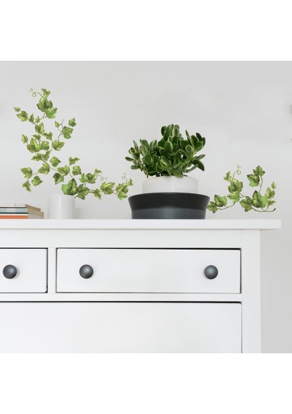Menashop Metrashop 54225 Sarmaşık