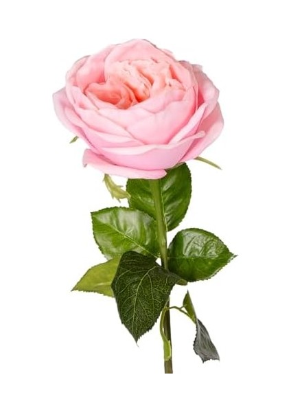 Menashop Metrashop Yapay Çiçek Islak Dokulu Gül Açık Pembe 48 Cm.