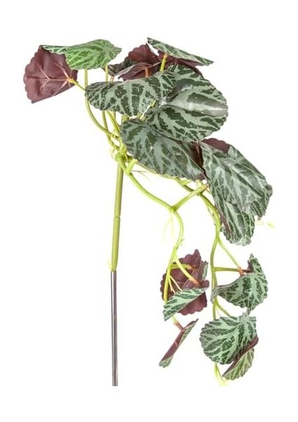 Menashop Metrashop Yapay Bitki Salon Sarmaşığı Koyu Yeşil 35 Cm. fiyatları