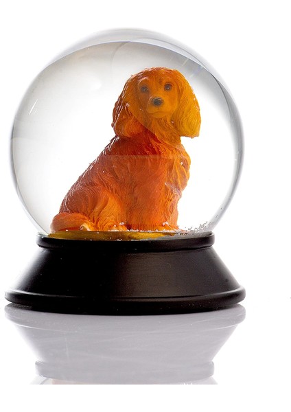 Cam ve Reçine Altın Patiler Köpek Cocker Kar Küresi Hediye