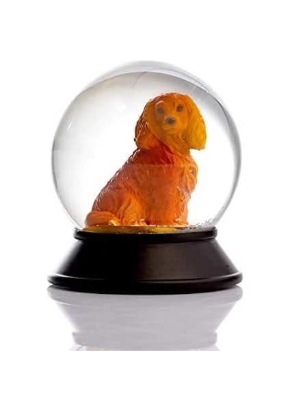 Cam ve Reçine Altın Patiler Köpek Cocker Kar Küresi Hediye