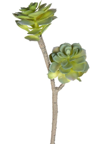 Menashop Metrashop Yapay Sukulent Kaktüs Yeşil 50 Cm.
