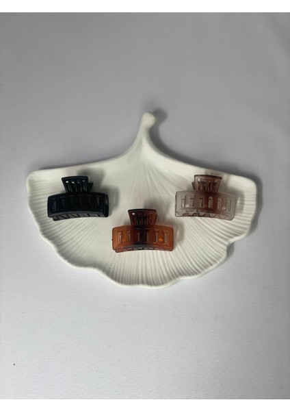 Saç Tokası