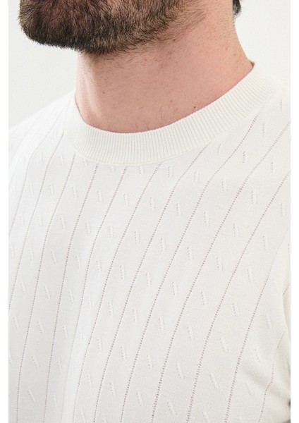 Desenli Slim Fit Bisiklet Yaka Erkek Triko T-Shirt fiyatları