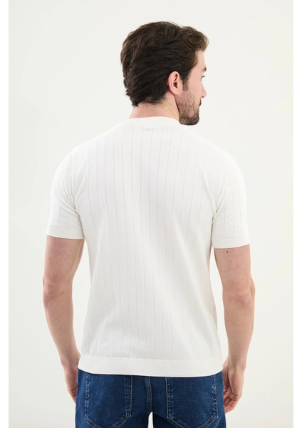 Desenli Slim Fit Bisiklet Yaka Erkek Triko T-Shirt modelleri