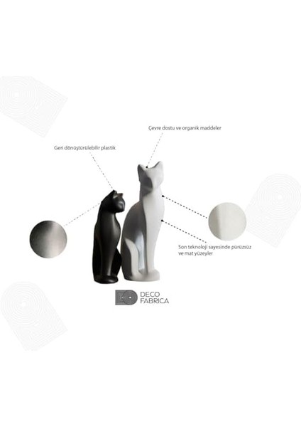 Menashop Metrashop ve Yavru Kedi Biblo