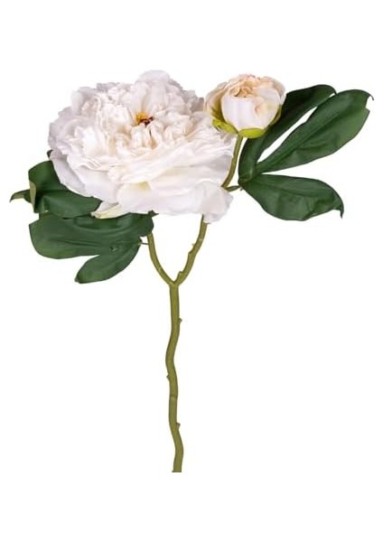 Menashop Metrashop Gül Tomurcuklu Beyaz 50 Cm. modelleri